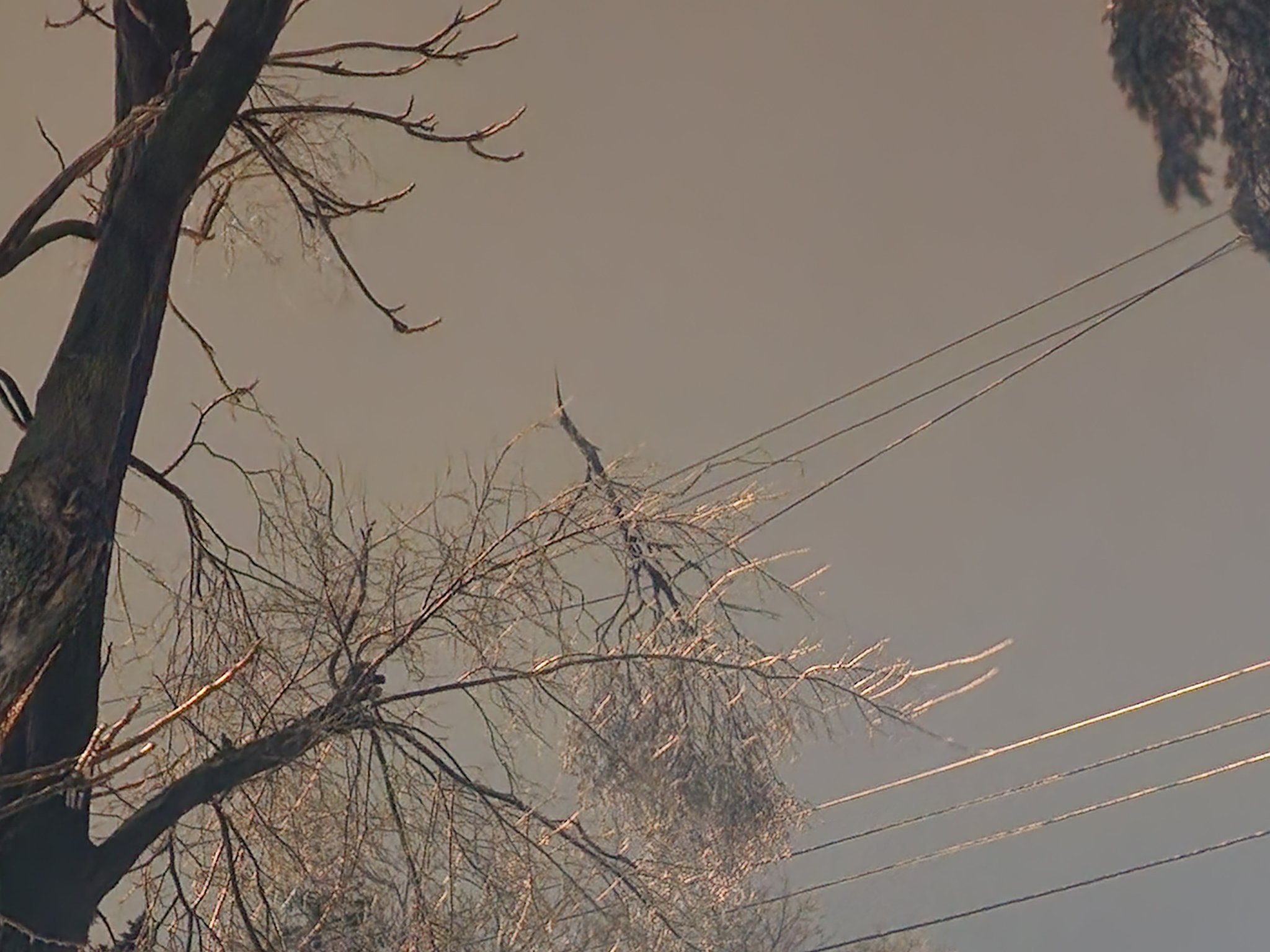 February 22nd 2023 Winter Storm